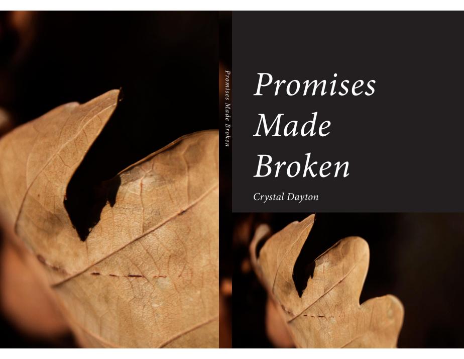 dayton_crystal_book_proposal2-page-001